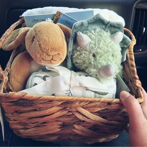 Plush Bunny and Dinosaur Stuffed Animals